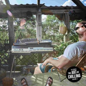 The Art Of Chilling, Vol. 2 album cover