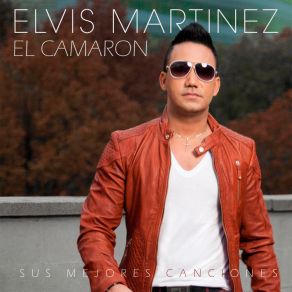Sus Mejores Canciones album cover