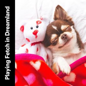 Playing Fetch In Dreamland album cover