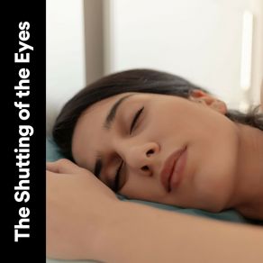 The Shutting Of The Eyes album cover
