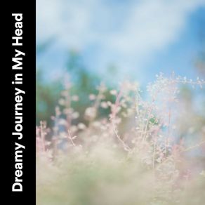 Dreamy Journey In My Head album cover