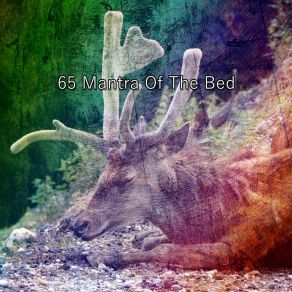 65 Mantra Of The Bed album cover