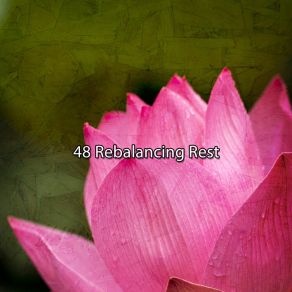 48 Rebalancing Rest album cover