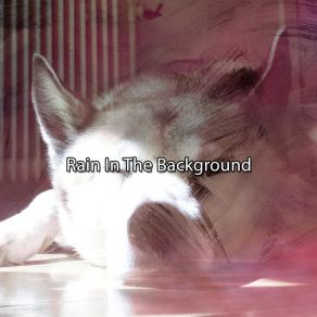 Rain In The Background album cover