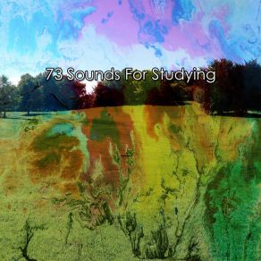73 Sounds For Studying album cover