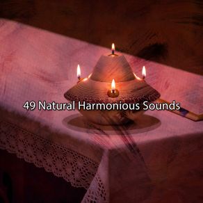 49 Natural Harmonious Sounds album cover