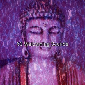 60 Welcoming Sounds album cover