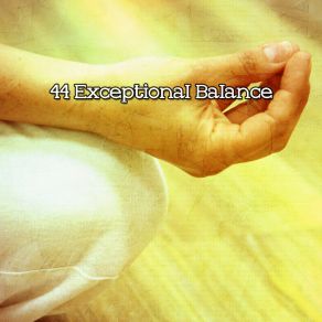 44 Exceptional Balance album cover