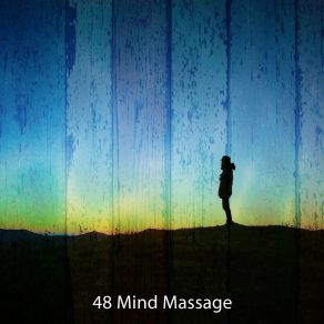 48 Mind Massage album cover