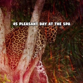 45 Pleasant Day At The Spa album cover