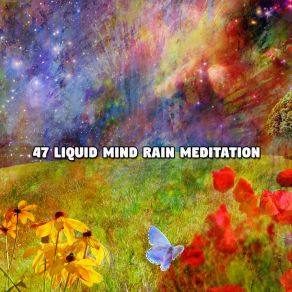 47 Liquid Mind Rain Meditation album cover