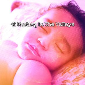 46 Resting In The Valleys album cover