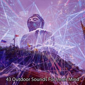 43 Outdoor Sounds For Inner Mind album cover
