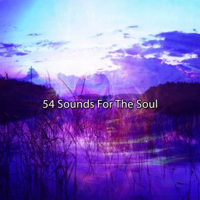 54 Sounds For The Soul album cover