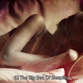 62 The Big Bed Of Sleeping album cover