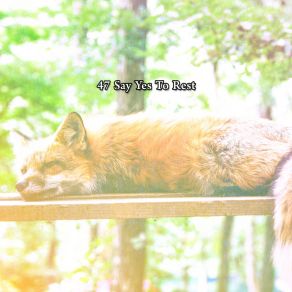 47 Say Yes To Rest album cover