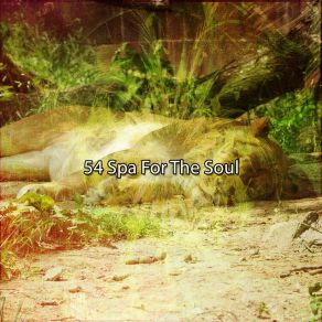 54 Spa For The Soul album cover