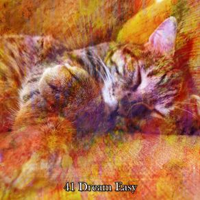 41 Dream Easy album cover