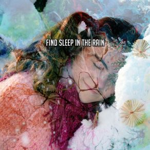 Find Sleep In The Rain album cover