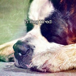 71 Hog Tired album cover