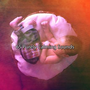 65 Purely Calming Sounds album cover