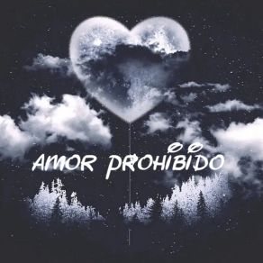Amor Prohibido album cover