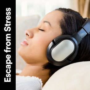 Escape From Stress album cover