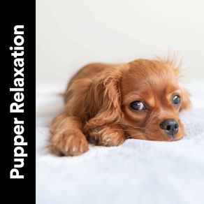 Pupper Relaxation album cover