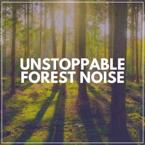 Unstoppable Forest Noise album cover