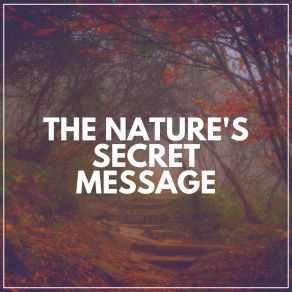 The Nature's Secret Message album cover