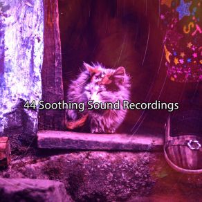 44 Soothing Sound Recordings album cover