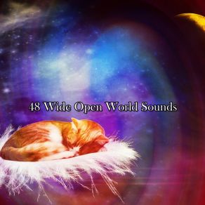 48 Wide Open World Sounds album cover