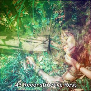 43 Reconstructive Rest album cover