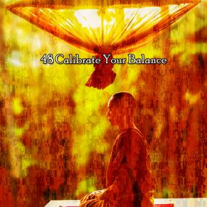 48 Calibrate Your Balance album cover