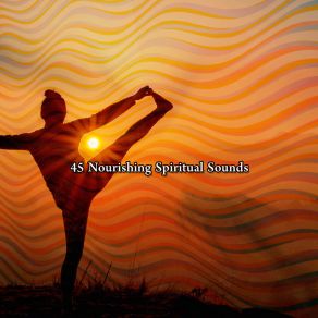 45 Nourishing Spiritual Sounds album cover