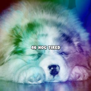 46 Hog Tired album cover