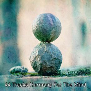 44 Tracks Harmony For The Mind album cover