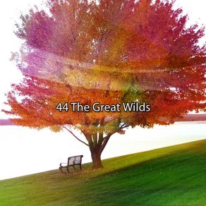44 The Great Wilds album cover