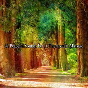 42 Peaceful Sounds For A Therapeutic Massage album cover