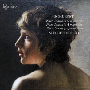 Schubert - Piano Sonatas D664, 769a & 894 - Stephen Hough album cover
