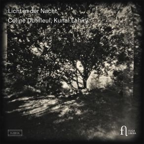 Licht In Der Nacht album cover