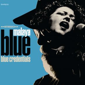 Blue Credentials album cover