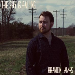 The Sky Is Falling album cover