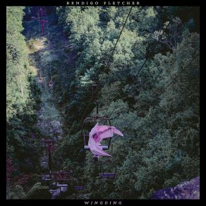 Wingding album cover