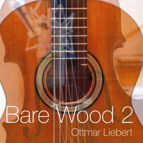 Bare Wood 2 album cover