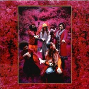 Grow Fins: Rarities 1965-1982 (CD1) album cover