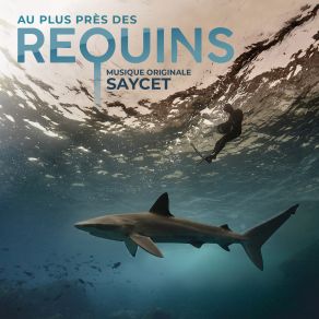 Au Plus Près Des Requins (Bande Originale Du Film) (Original Soundtrack) album cover