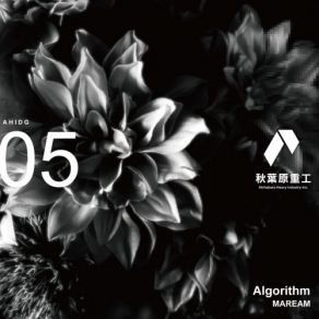 Algorithm album cover