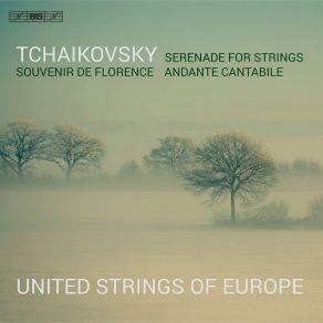 Tchaikovsky: Serenade For Strings In C Major, Op. 48, TH 48 & Other Works album cover