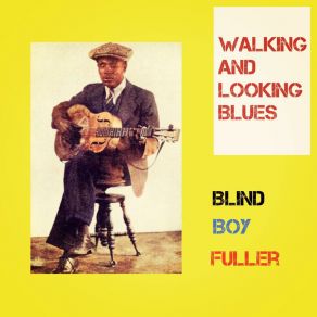Walking And Looking Blues album cover